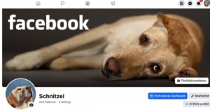 Schnitzel auf Facebook