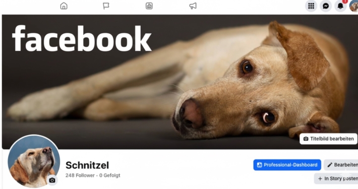 Schnitzel auf Facebook