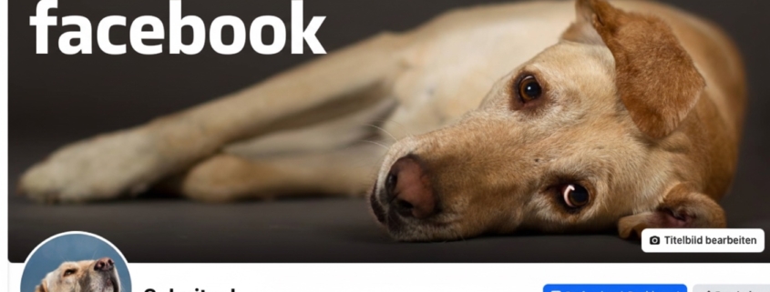 Schnitzel auf Facebook